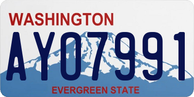 WA license plate AYO7991