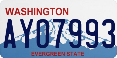 WA license plate AYO7993