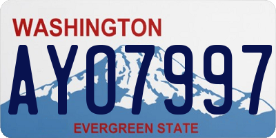 WA license plate AYO7997