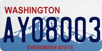 WA license plate AYO8003