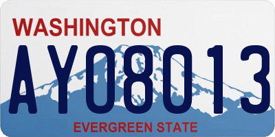 WA license plate AYO8013