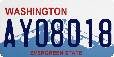 WA license plate AYO8018