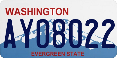 WA license plate AYO8022