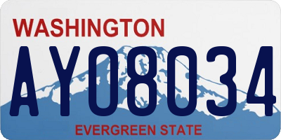 WA license plate AYO8034