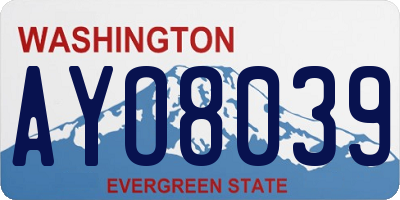 WA license plate AYO8039