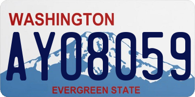 WA license plate AYO8059