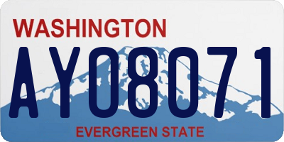WA license plate AYO8071