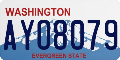WA license plate AYO8079