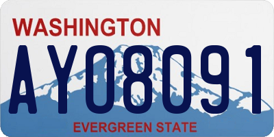 WA license plate AYO8091