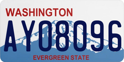 WA license plate AYO8096