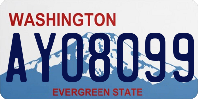 WA license plate AYO8099