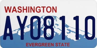 WA license plate AYO8110