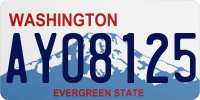WA license plate AYO8125