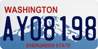 WA license plate AYO8198