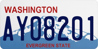 WA license plate AYO8201