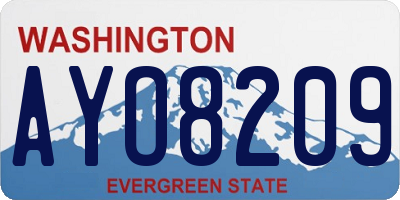 WA license plate AYO8209