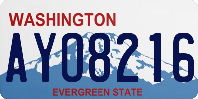 WA license plate AYO8216