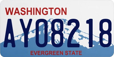 WA license plate AYO8218