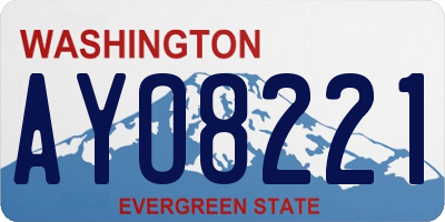 WA license plate AYO8221