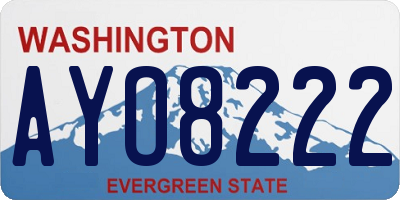 WA license plate AYO8222