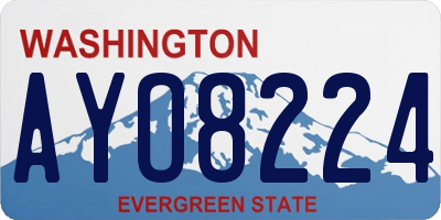 WA license plate AYO8224