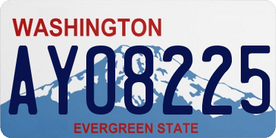 WA license plate AYO8225