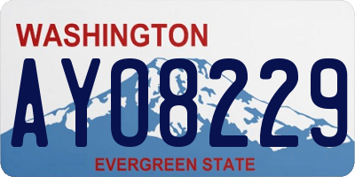 WA license plate AYO8229