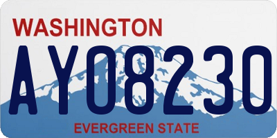 WA license plate AYO8230
