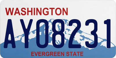 WA license plate AYO8231