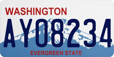 WA license plate AYO8234