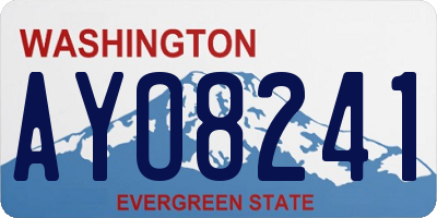 WA license plate AYO8241