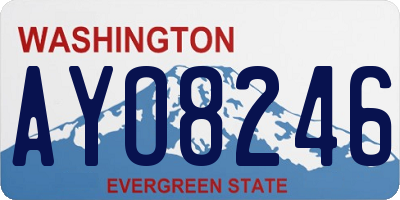 WA license plate AYO8246