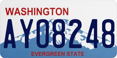 WA license plate AYO8248