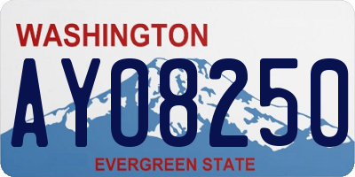WA license plate AYO8250