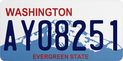 WA license plate AYO8251