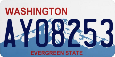 WA license plate AYO8253