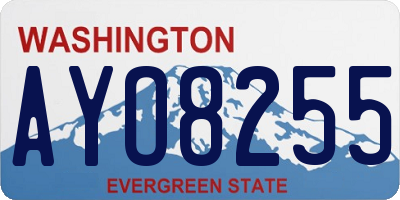 WA license plate AYO8255
