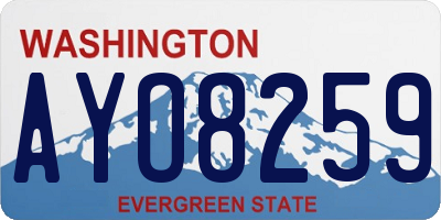 WA license plate AYO8259