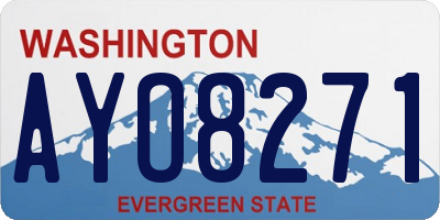 WA license plate AYO8271