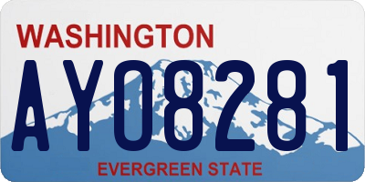WA license plate AYO8281