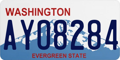 WA license plate AYO8284
