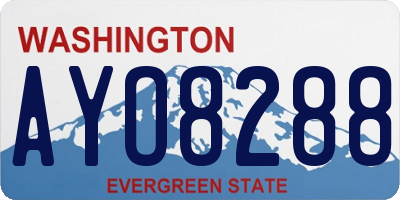 WA license plate AYO8288