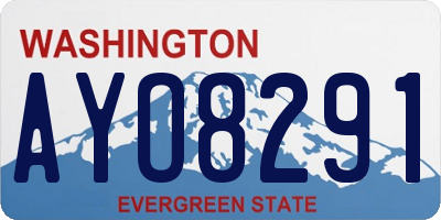 WA license plate AYO8291