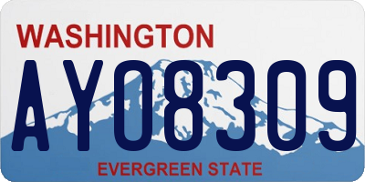 WA license plate AYO8309