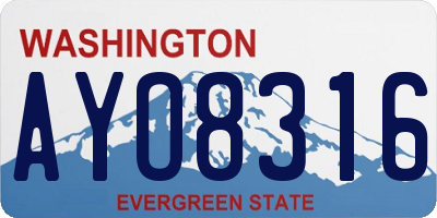 WA license plate AYO8316