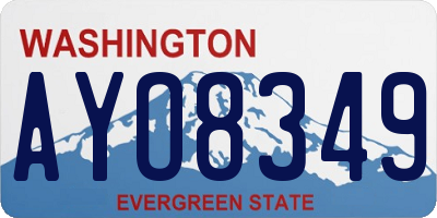 WA license plate AYO8349