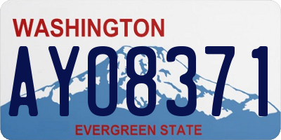 WA license plate AYO8371