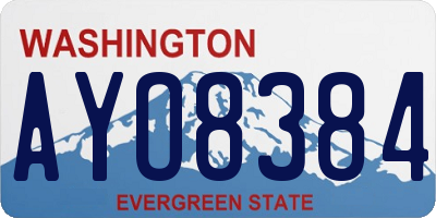 WA license plate AYO8384