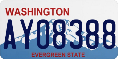 WA license plate AYO8388