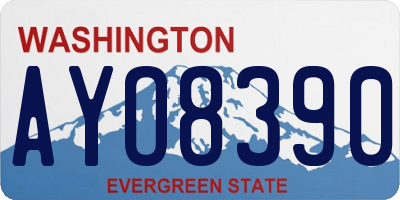 WA license plate AYO8390